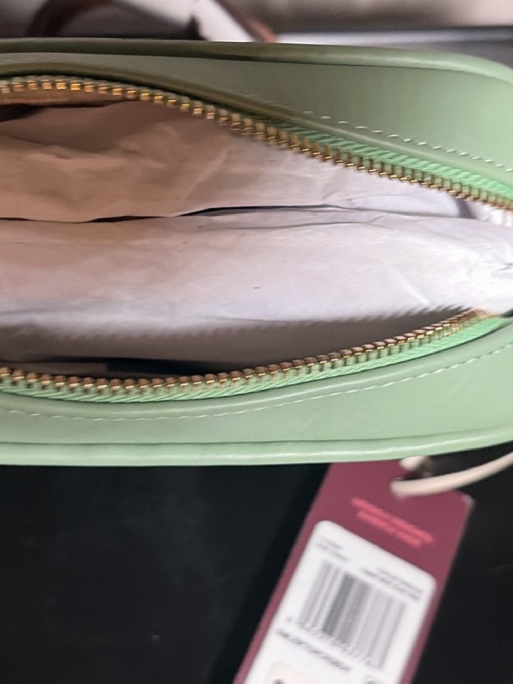RADLEY LONDON Mint Green Leather Crossbody Bag with Gold Zip - Picture 4 of 6